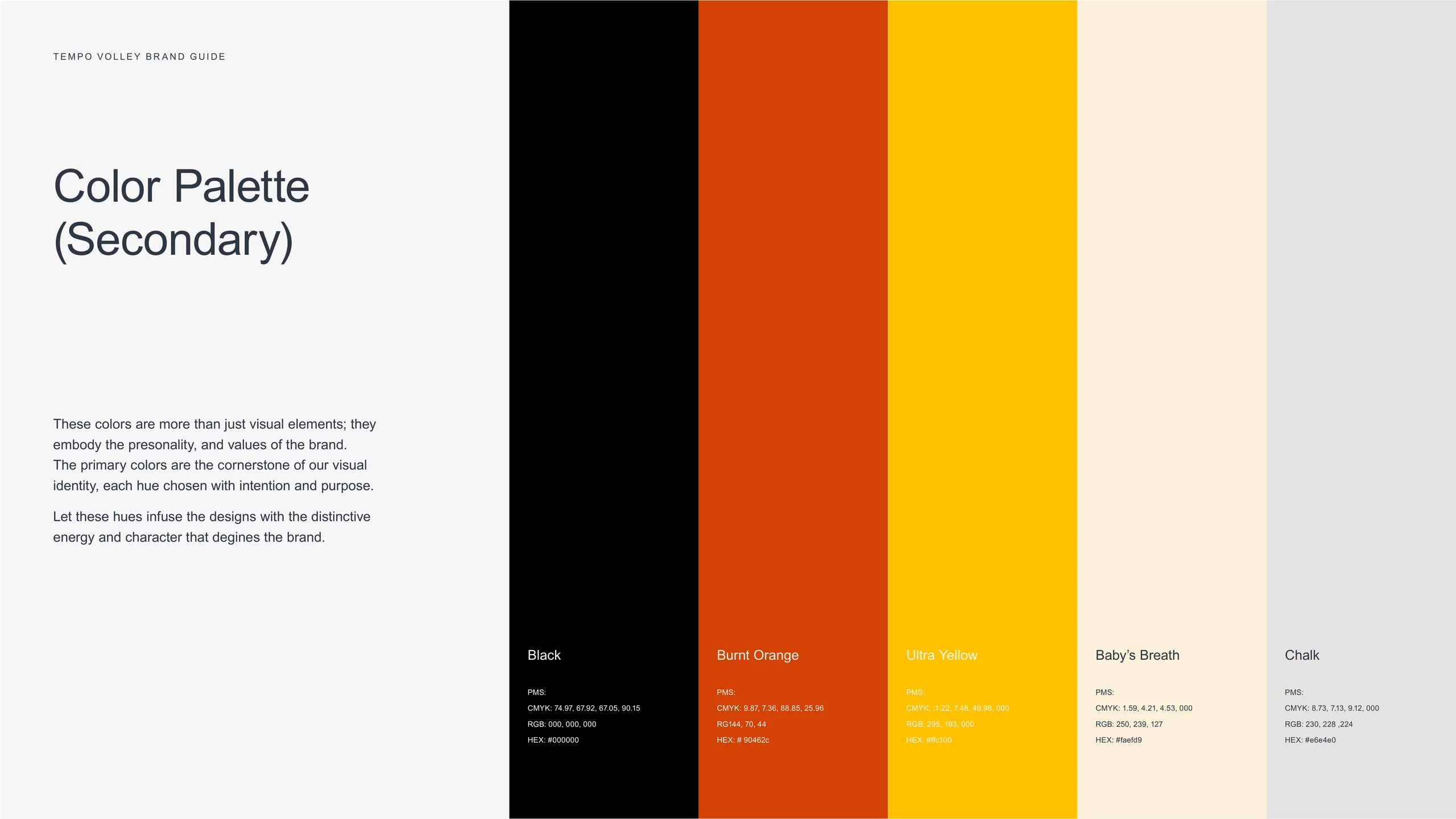 Tempo Volley brand identity 2